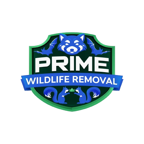 Animal Removal Robinson